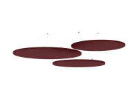 Rot